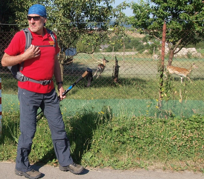 Odkryj Beskid Wyspowy. Sałasz podbił serca piechurów [ZDJĘCIA]