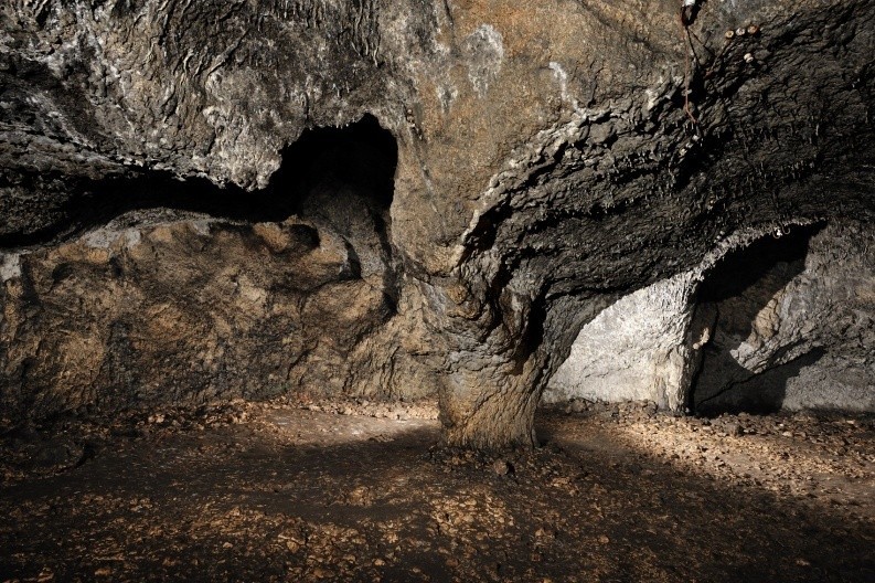 W Jaskini Ciemnej znaleziono najstarsze w Polsce kości ludzkie. Należały do neandertalskiego dziecka 