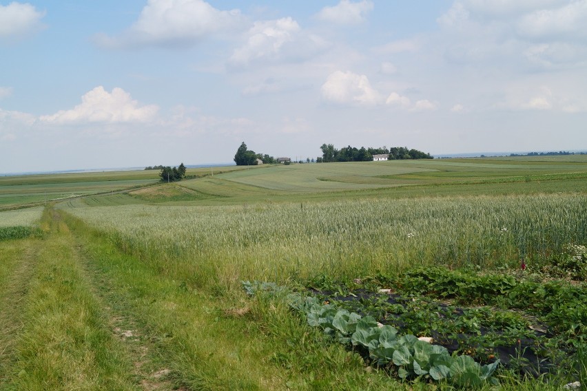 Boża Wola. Sołtys podpadł burmistrzowi za maszt