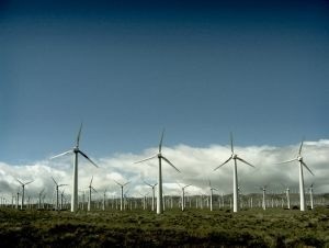 Farm wiatrowych ma być coraz więcej w Polsce.