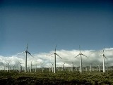 Polska największym rynkiem energii wiatrowej w regionie
