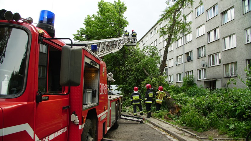 Akcja strażaków przy ulicy Jaracza. Drzewo spadło na...