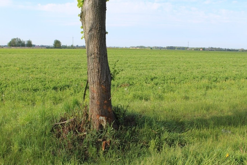 Poważna kolizja w powiecie makowskim. Bez poszkodowanych