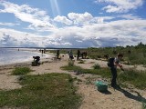 Rezerwat przyrody Mewia Łacha posprzątany przez urzędników i aktywistów