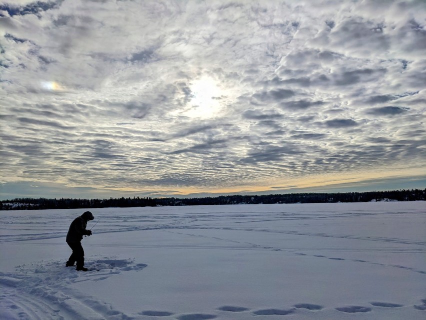 Kongres Polonii Kanadyjskiej Manitoba pomaga w emigracji do...