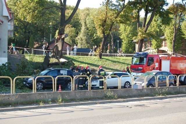 Konar spadł na przystanek autobusowy w Gdańsku. Trzy osoby ranne, w tym dziecko [WIDEO,ZDJĘCIA]