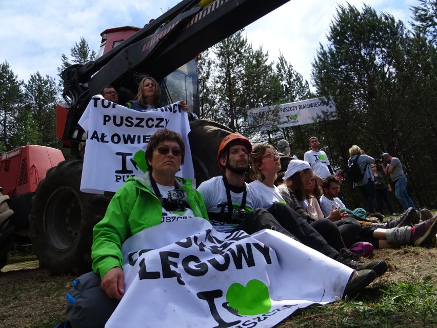 Ekolodzy od dawna walczą o ochronę Puszczy Białowieskiej....