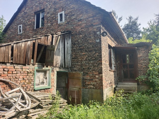 W sercu gęstego lasu, gdzie szum drzew i śpiew ptaków komponują spokojną symfonię przyrody, stoi samotny domek.