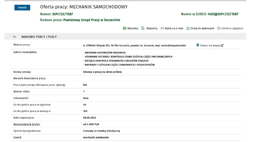 Oferty pracy w Szczecinie i regionie