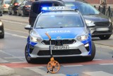 Potrącił nastolatkę na przejściu dla pieszych i odjechał! Policja z Bydgoszczy prosi świadków zdarzenia o pomoc