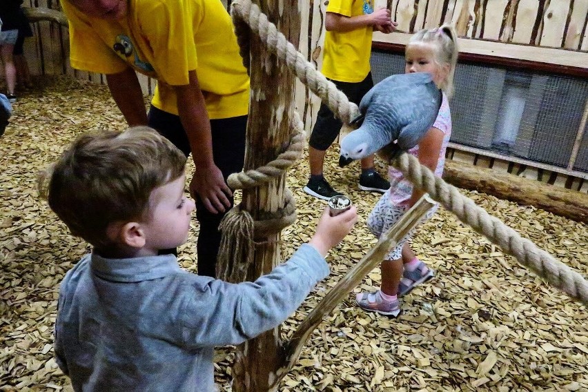 Papugarnia to wyjątkowe miejsce dla dzieci stęsknionych...