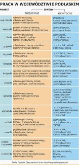 Sprawdziliśmy wszystkich [SZCZEGÓŁOWY RAPORT]! W tych zawodach pewne bezrobocie