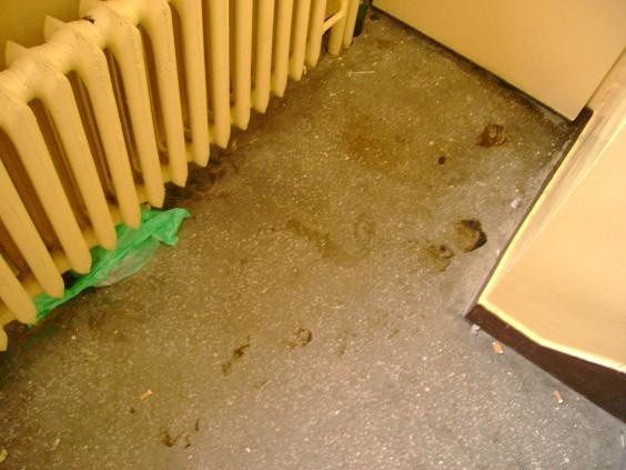Mężczyzna mieszkający w bloku przy Grochowej 31 w Kielcach sfotografował na swoim piętrze, przy schowku &#8211; fekalia.