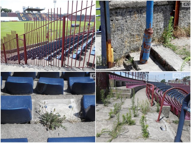 Zdewastowane stare kasy biletowe, druty kolczaste, pręty w płotach, trybuny zarastające krzakami - tak wygląda stadion przy Twardowskiego w dniu ogłoszenia przetargu na budowę nowego obiektu. Jeśli ktoś ma wątpliwości czy nowoczesny stadion jest potrzebny - koniecznie musi zobaczyć zdjęcia. Lektura obowiązkowa.