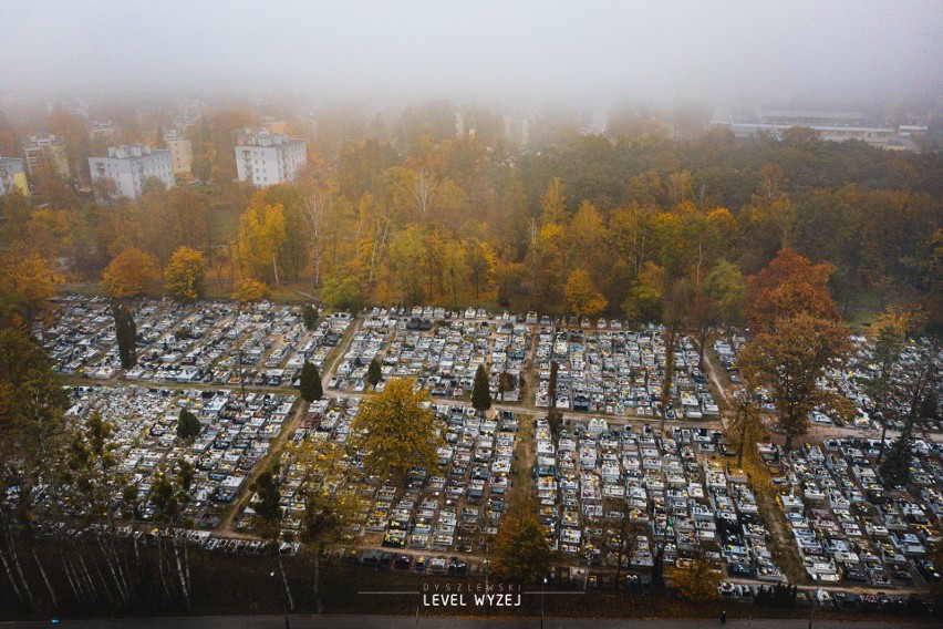 Cmentarze w Tarnobrzegu we Wszystkich Świetych 2020 z lotu ptaka. Zobacz niezwykłe zdjęcia Mariusza Dyszlewskiego (ZDJĘCIA)