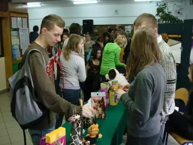 Podczas akcji zorganizowanej w Liceum imienia Hanki Sawickiej w Kielcach uczniowie zebrali 350 złotych i 50 kilogramów karmy dla zwierząt.