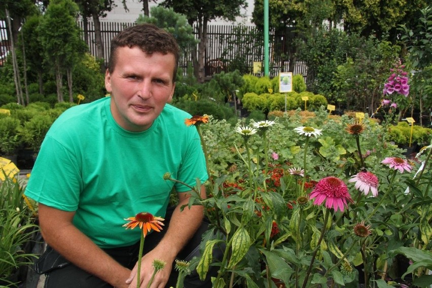 Efektowne jeżówki i hibiskusy. Pięknie kwitną aż do jesieni...