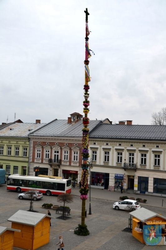 Nowy Sącz. Wielkanocna palma stanęła przed ratusza [ZDJĘCIA]