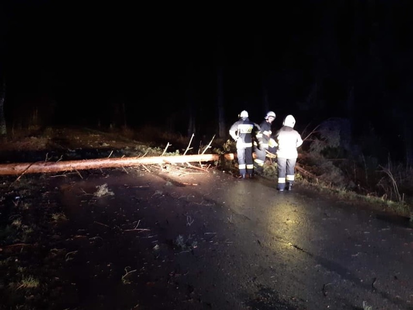 Małopolska zachodnia. Wiatr szalał nad regionem. Zerwane dachy, powalone drzewa i mieszkańcy bez prądu 