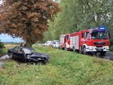 Wypadek: Stracił panowanie i zjechał na pobocze w Strzeżeniach [ZDJĘCIA]