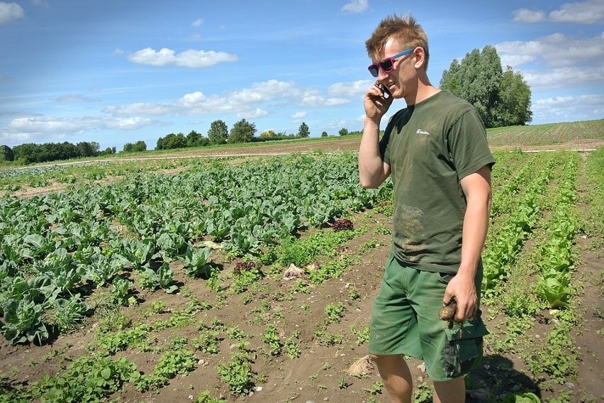 Dopłata dla młodego rolnika ma być niższa. Przypomnijmy - w...