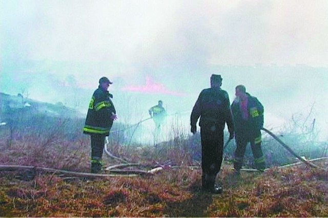 Każda akcja gaszenia traw kosztuje od kilkuset do kilku tysięcy zł &#8211; przypominają strażacy.