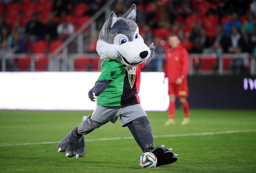GKS Tychy też ma maskotkę wilka.