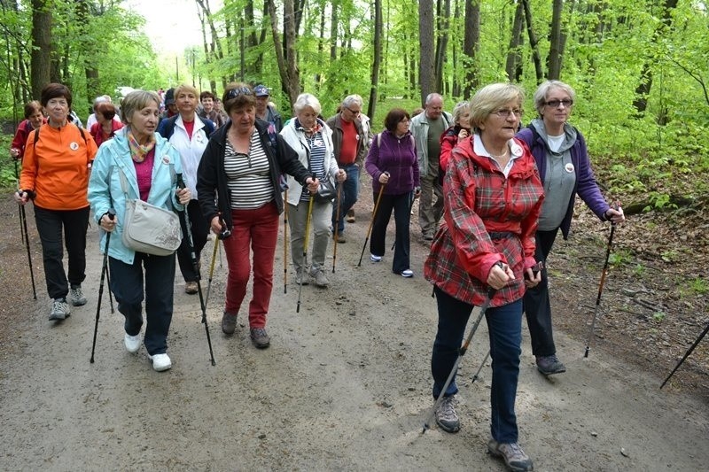 Bielsko-Biała: seniorzy włączyli się w ogólnopolski marsz UTW 2015 [ZDJĘCIA]