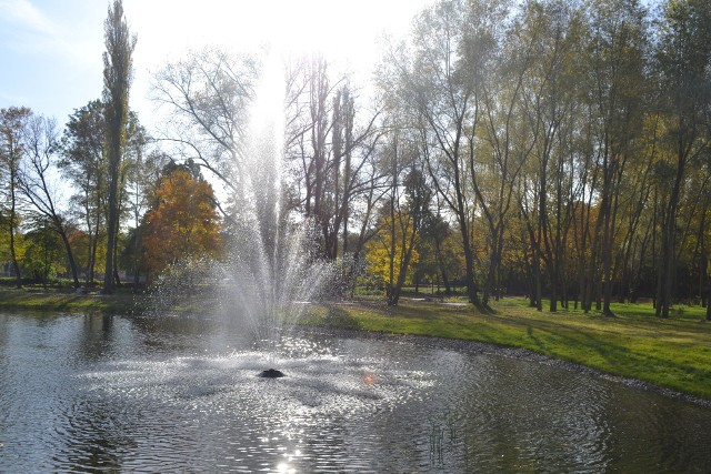 Promenada w Mysłowicach przeszła remont. Dawnej były tu puste zielone pola, dziś piękne miejsce z alejkami, fontannami, miejscami do grillowania czy placem zabaw. Zobacz kolejne zdjęcia. Przesuń zdjęcia w prawo - wciśnij strzałkę lub przycisk NASTĘPNE