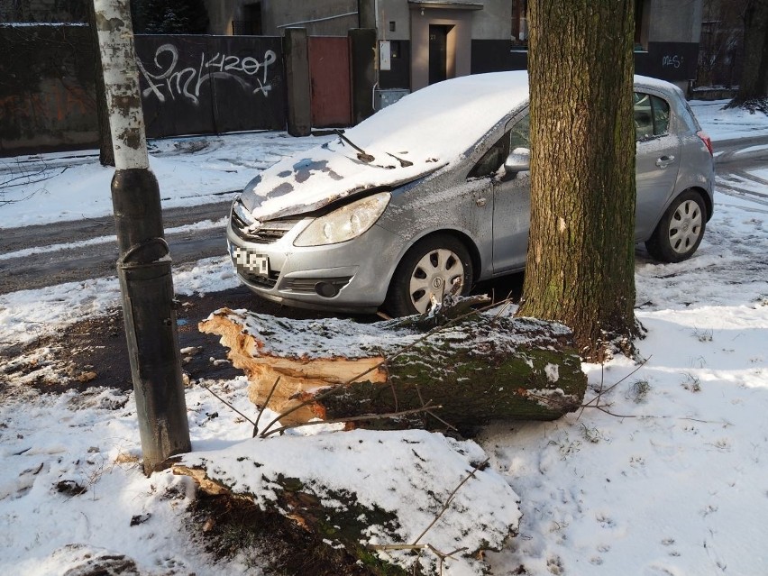 Skutki burzy śnieżnej w Łodzi, która przeszła nad...