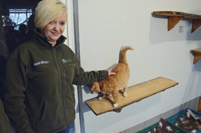 Kot Boniek z Bełchatowa ma nowych właścicieli [ZDJĘCIA,FILM]
