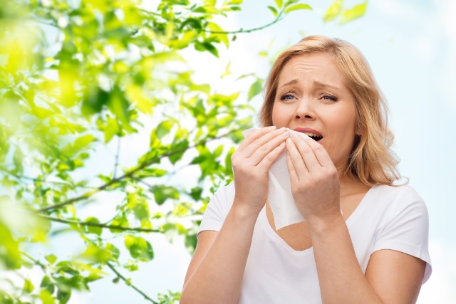 Nie da się całkowicie uniknąć pyłków, ale te sposoby pozwolą ci złagodzić objawy alergii. Zobacz w galerii, jak możesz poradzić sobie z alergią na pyłki za pomocą domowych sposobów.