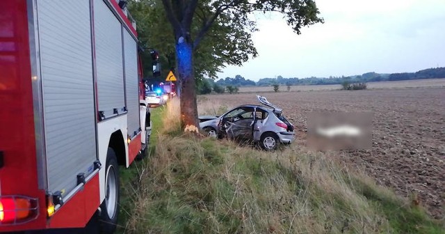 Wypadek pod Starkowem. Nie żyje druga ofiara zderzenia