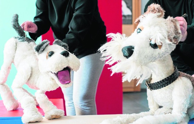 W sobotę w Teatrze Lalki Tęcza przedstawienie dla dzieci „Daszeńka, czyli żywot szczeniaka”.