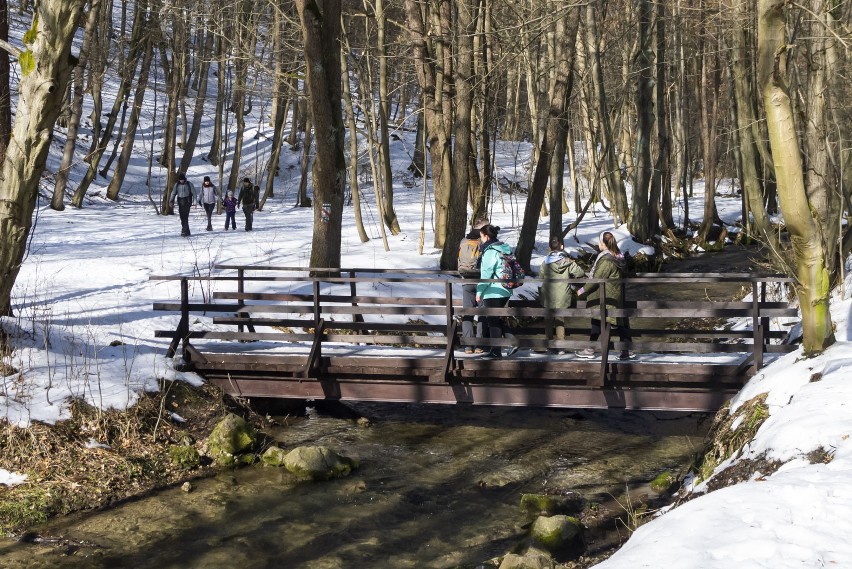 Słoneczne popołudnie w Dolinie Racławki, wiosna tuż-tuż [GALERIA]