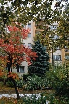 Jeden z 14 w Krakowie domów pogodnej jesieni przy ul. Brogi Fot. Andrzej Wisniewski