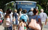 Od 1 maja autobusy R i 11 MZK Grudziądz będą kursowały nad Rudnik [rozkład jazdy 2023] 