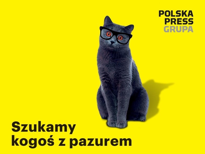 Zostań doradcą klienta ds. reklamy w grudziądzkim oddziale...