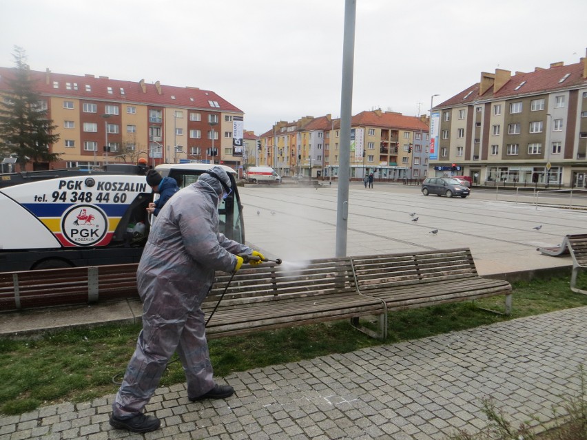 Przystanki autobusowe w Koszalinie zostaną odkażone. Akcja przeciw koronawirusowi rozpoczęta [zdjęcia]