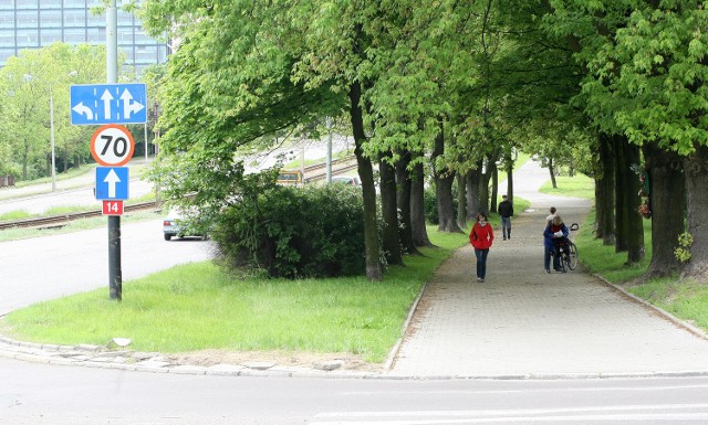 Jesienią rozpocznie się budowa drogi rowerowej wzdłuż al. Śmigłego-Rydza