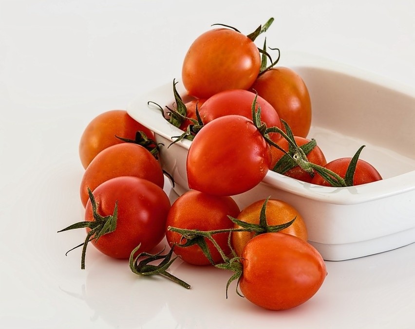 Dzięki dużej zawartości witaminy C pomidory zwiększają...