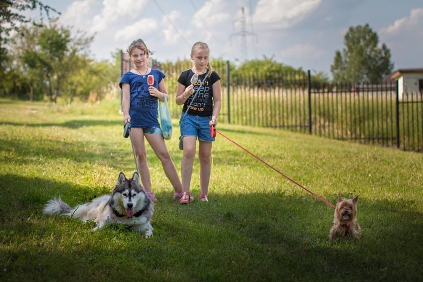 Maja z koleżanką Roksaną i psami: Rosą i Arią