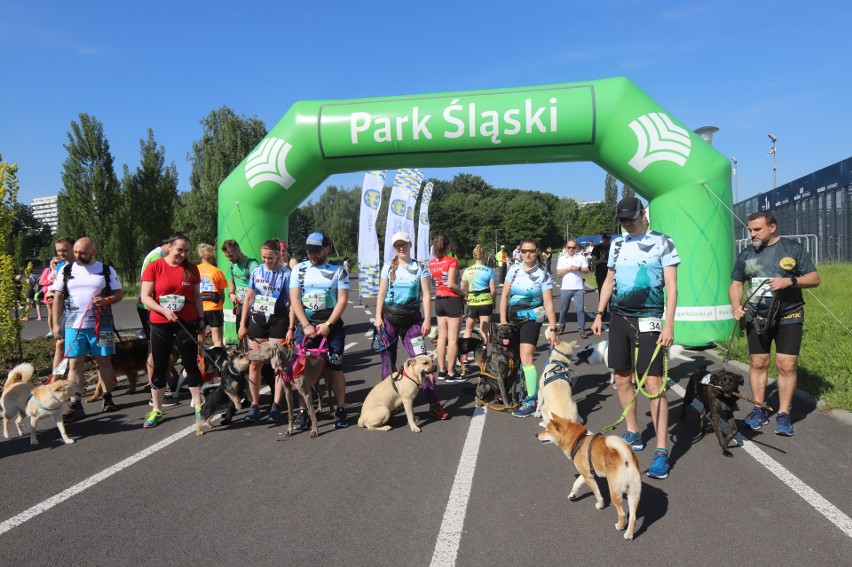 Silesia Psiaraton odbył się po raz pierwszy w Parku Śląskim...