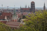 Muzeum Gdańska będzie świętować 54 lata. Zaprezentowana zostanie replika historycznej trąbki z XVIII wieku