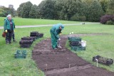 Ogród Botaniczny w Łodzi. Trwa sadzenie tysięcy cebul tulipanów. Wiosną 2024 roku zakwitną, tworząc wielobarwny dywan