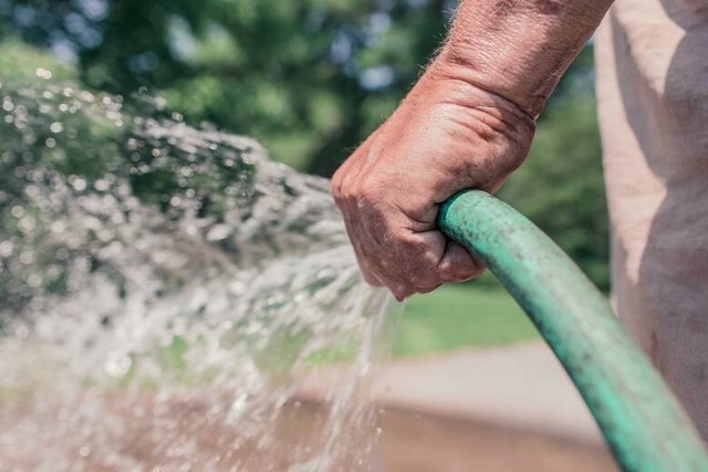 Województwo lubuskie zostało objęte ostrzeżeniem przed suszą hydrologiczną.