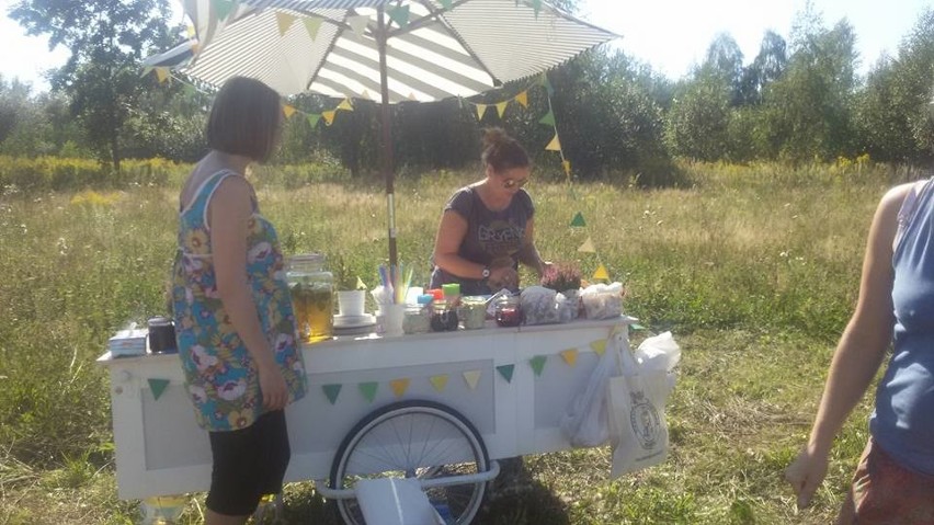 Piknik przy Elektrociepłowni Szombierki