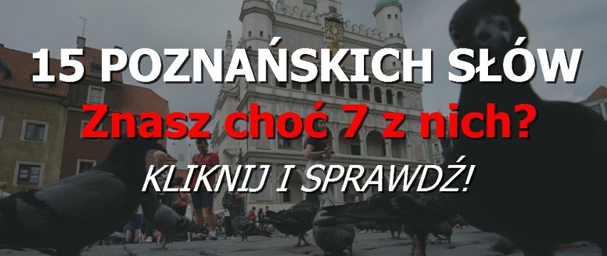Lech Poznań: Dlaczego Trałka zaczął strzelać?
