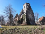 Ruina kościoła w Złotniku wygląda romantycznie. Nic, tylko kręcić film