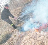 W Koszalinie i okolicy dochodzi do kolejnych podpaleń traw. Strażacy wyjeżdżali 16 razy
